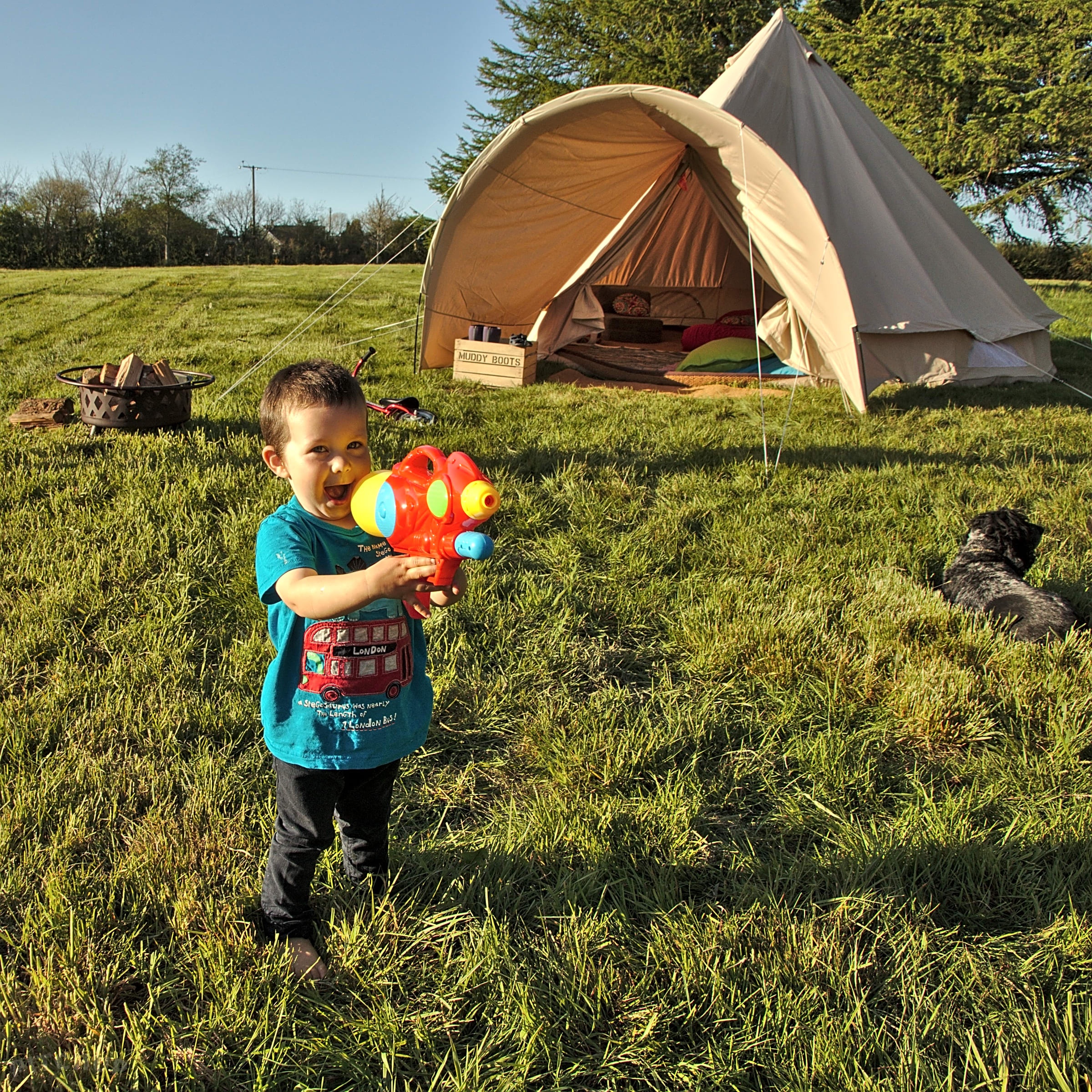 Firecrest Valley Camping and Glamping, Newcastle Emlyn Updated 2020