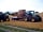 Brocklands Farm: Hay! What's going on?