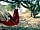 The Olive Garden: Relax in the hammock