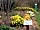 The Secret Garden Touring Park: Plot on the meadow
