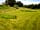 Ettie's Field