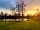 Burton Springs: Picture of the lake