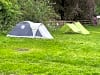 The High Hermitage Holiday Park: Excellent grass pitch with electric hook-up (photo added on 05/24/2024)