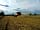Gayton Farm: Tending the fields (photo added by andreacannas on 14/08/2018)