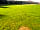 Crookhill Farm: View