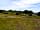 Brynteg Glamping