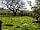 Primrose Cottage Camping