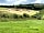Giddy Farm: Camping field