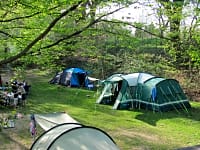 Pitches in the woods Pitches in the woods