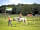 Farm and Camping Lazy: Horse riding can be booked in reception