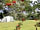 Graston Copse Holiday Park: Lower meadow (photo added by manager)