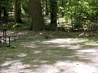 Shaded glade Shaded glade