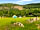 Sandfold Pop-up Camping