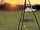 Lacock Alpaca Glamping: Sunset