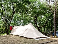 Op gras staplaats voor een tent of voor vouwwagen , met elektriciteit (groot)