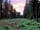 Tackeroo Caravan Site