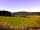 Border Forest Caravan Park: Blue skies