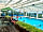 The Orchards Holiday Park: The lovely indoor heated pool is open all season