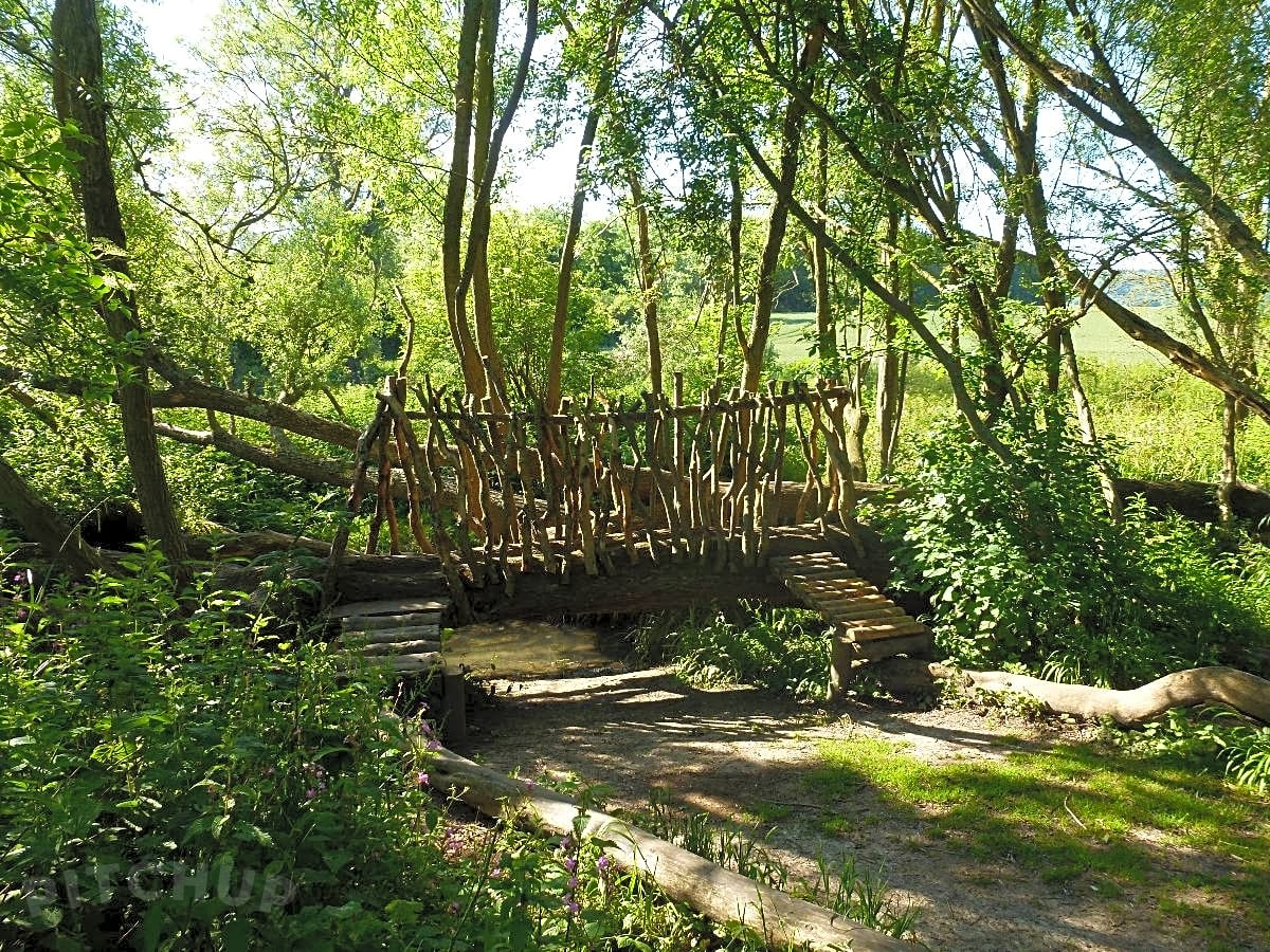 Blackberry Wood Campsite, Brighton Pitchup®