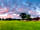 The Cob House Countryside Park (фото добавлено менеджером 11.05.2022)