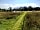 Benville Manor Camping: load of space to relax in nature (photo added by manager on 31/07/2022)
