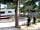 Camping Cabopino: Pitches among the trees