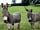 Abbey Farm Holidays (foto añadida por  el 28/07/2021)