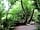 Hurley Riverside Park: Nature trail, great for teaching your children about local wildlife