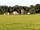 Godwin's Caravan and Camping Site: A sunny day (photo added by manager on 27/07/2016)