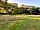 Buckland Farm Camping: Shady corner pitch