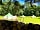 Owley Woods Glamping: Glampsite