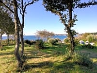 Pitches on the forest side, ideal for camping or to set a hammock Pitches on the forest side, ideal for camping or to set a hammock