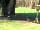 The Firs Fishery and Campsite: Some of the wildlife to be seen around the site