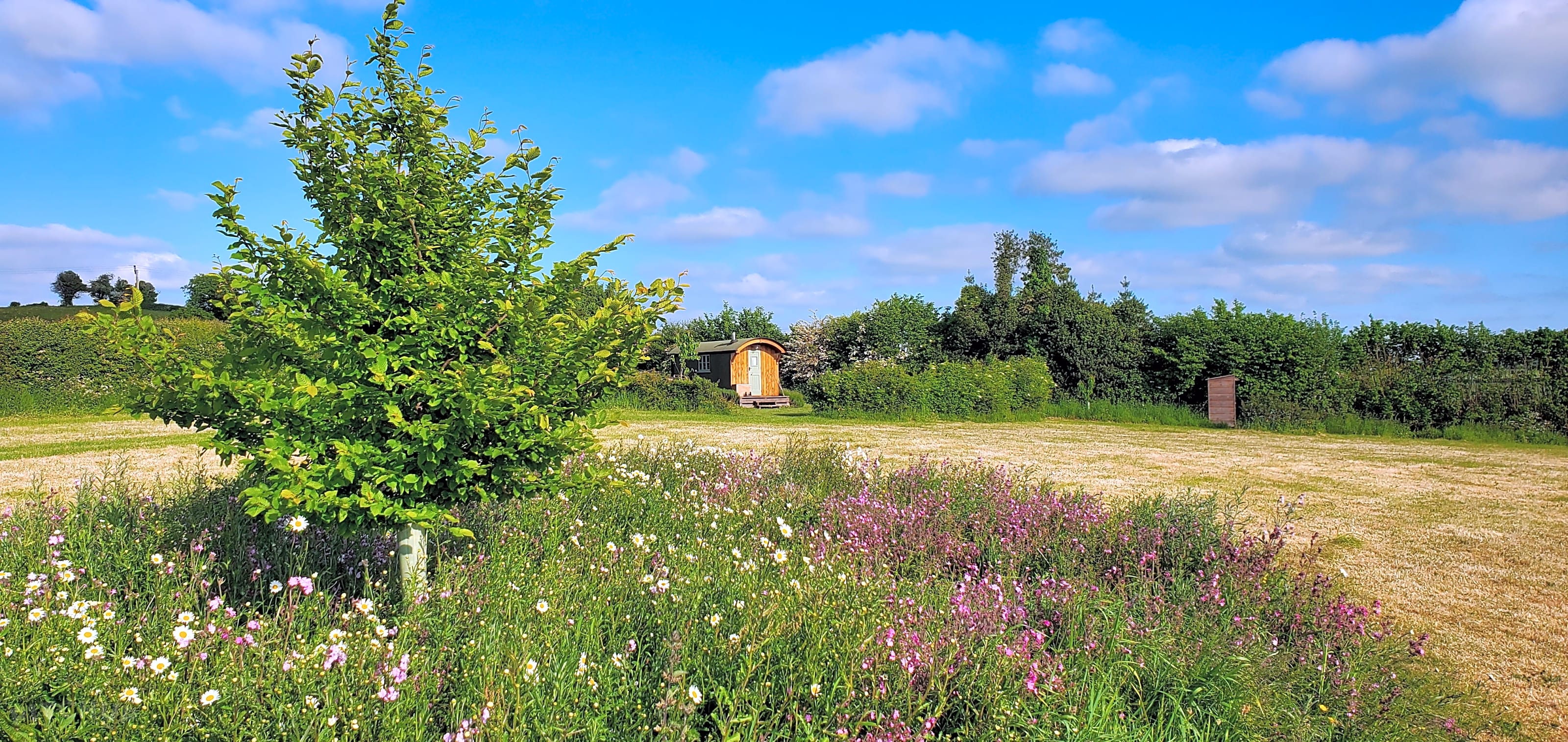 Walnut Tree Farm, Greater Bristol, South West England Updated 2025