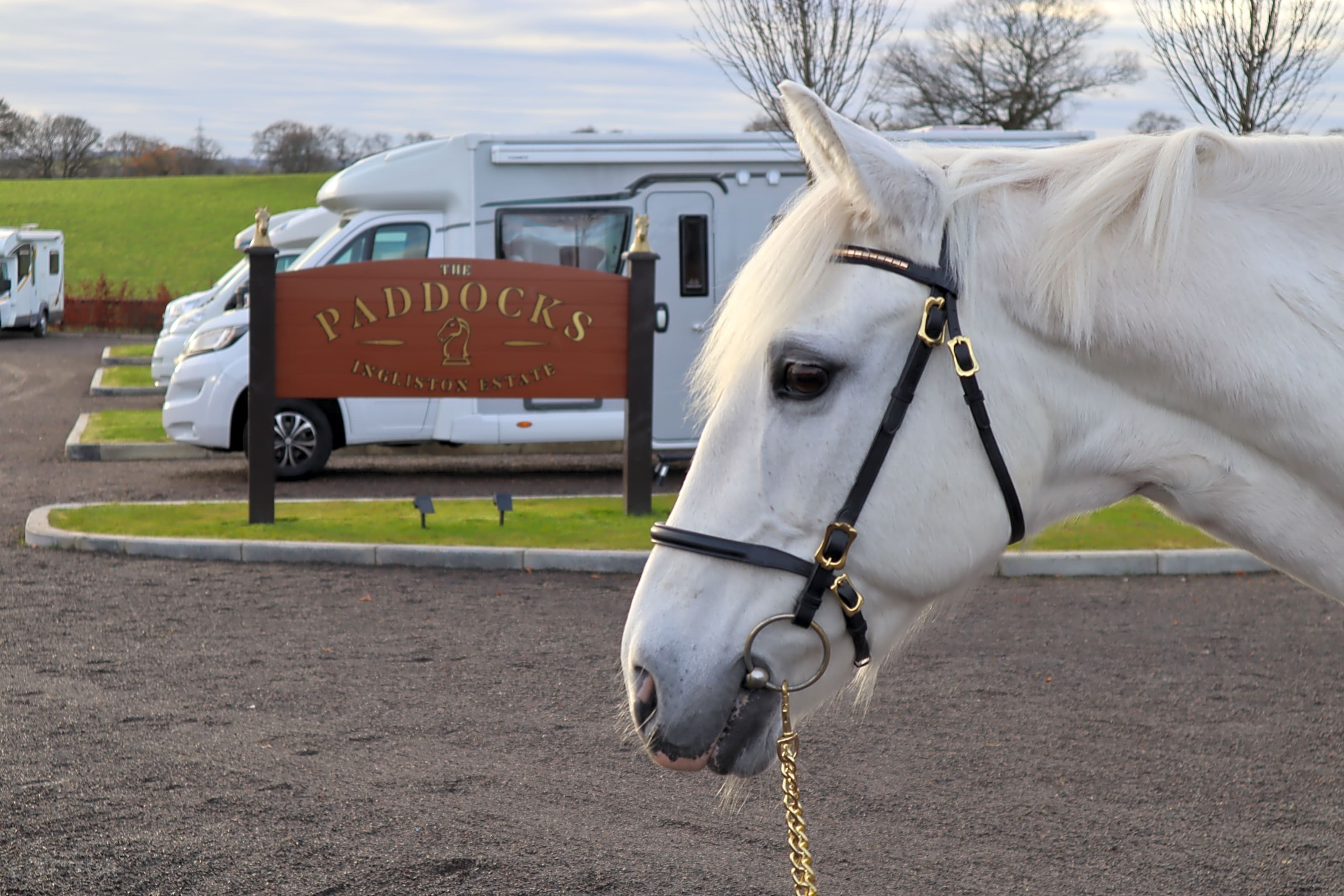 The Paddocks Touring Park, Bishopton, Renfrewshire - Updated 2025