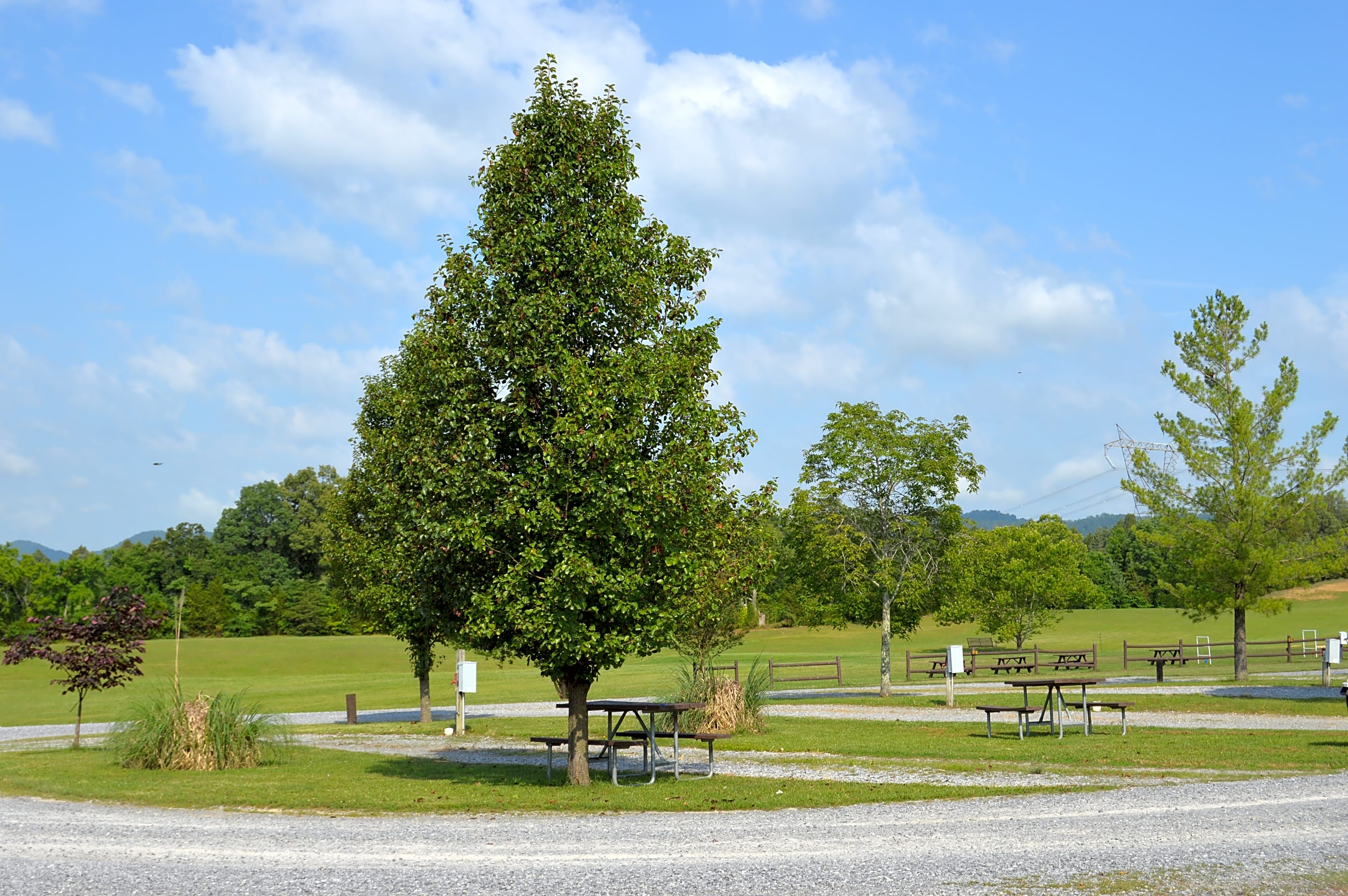 Baileyton RV Park & Cabins, Greeneville, Tennessee