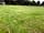Fields Farm Campsite