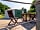 Whitlingham Broad Campsite