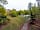 Longbeech Caravan and Camping Site: Forest setting (photo added by manager on 30/01/2023)