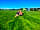 Girt Down Farm: Poppy the farm dog and friends
