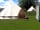 Pattacott Farm: Spacious bell tents