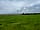River Severn Bank Pop-up Campsite: Cows grazing on the field