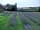 Willey Lane Farm (фото добавлено менеджером 30.01.2022)