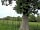 Pilsdon View Camping: The swing oak