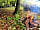 Allerbrook Meadows: Camp fires
