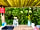 Rosebud Ranch: Outdoor kitchenette
