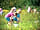Sandy Balls Holiday Village: Bug hunting