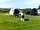 Top Yard Farm Caravan Park: Dogs loved it here (photo added by  on 20/09/2020)