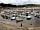 Andrewshayes Caravan Park: Lyme Regis harbour