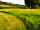 Widecombe Valley - Dartmoor Camping: Pathway through the site